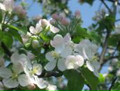 Фотография Шайнуровой Елены