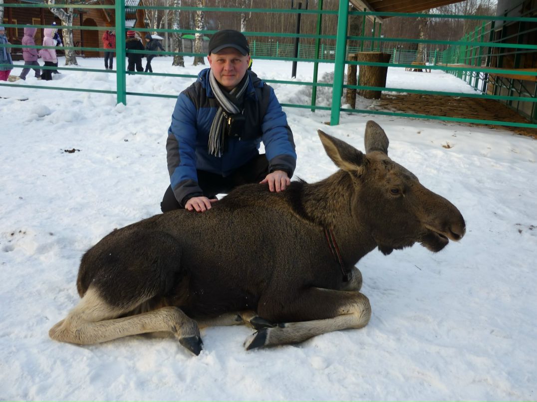 Александр Мышкин фотография #35