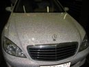 Софія Тяско фотография #25 (источник - https://vk.com/id27332110)