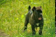 Фотография Ниловой Виктории