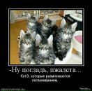 Володимир Шалівський фотография #33 (источник - https://vk.com/id38528279)