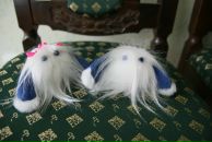 Фотография Кудели Татьяны