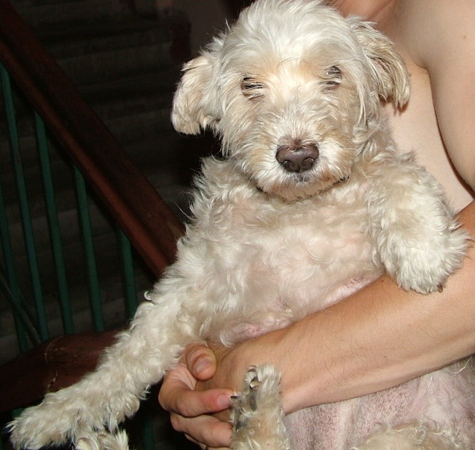 Анна Петрукова фотография #38