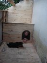 Віталій Малафей фотография #22 (источник - https://vk.com/id24447910)