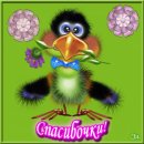 Ілона Шевчук фотография #37 (источник - https://vk.com/id37347422)