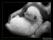 Фотография Гром Дарьи