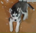 Фотография Зарницыной Марии