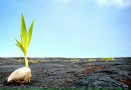 Фотография Мазыкова Рафиса