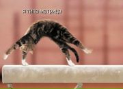 Фотография Крюкова Алексея