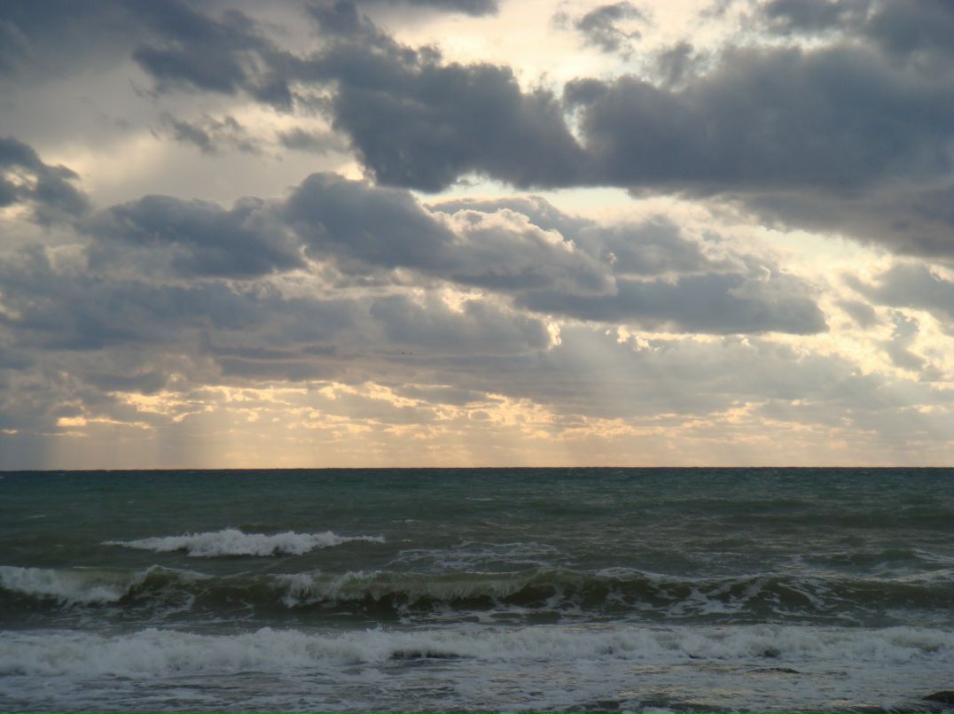 Дмитрий Пак фотография #27