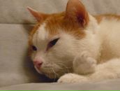 Фотография Бисовко Дарии