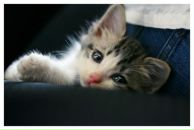 Фотография Кузнецовой Анастасии