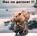 Вася Іванів фотография #2 (источник - https://vk.com/id152376636)