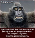 Сергій Гайдеєв фотография #6 (источник - https://vk.com/id63450867)