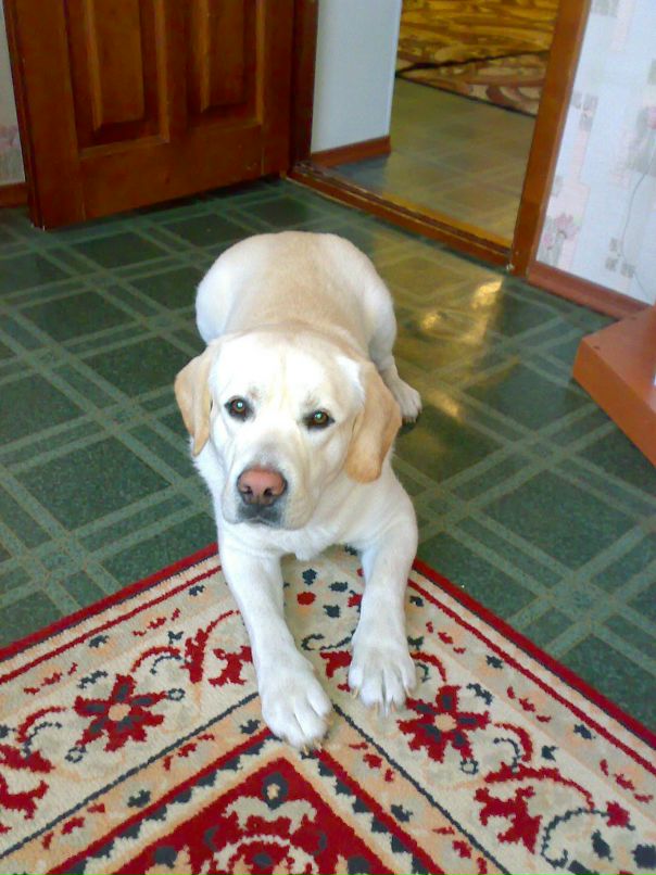 Роман Коваленко фотография #24