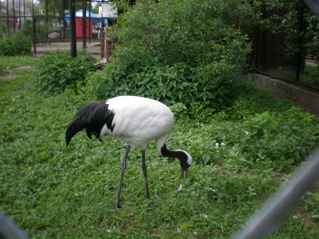 Ирина Мальцева фотография #27