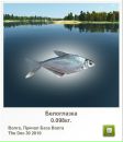 Іван Гнідець фотография #26 (источник - https://vk.com/id113923451)