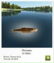 Іван Гнідець фотография #32 (источник - https://vk.com/id113923451)
