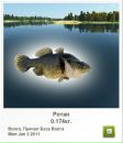 Іван Гнідець фотография #11 (источник - https://vk.com/id113923451)