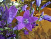 Фотография Долининой Ольги