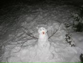 Фотография Levina Tancha