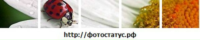 Віта Кульбовська фотография #35 (источник - https://vk.com/id103185794)