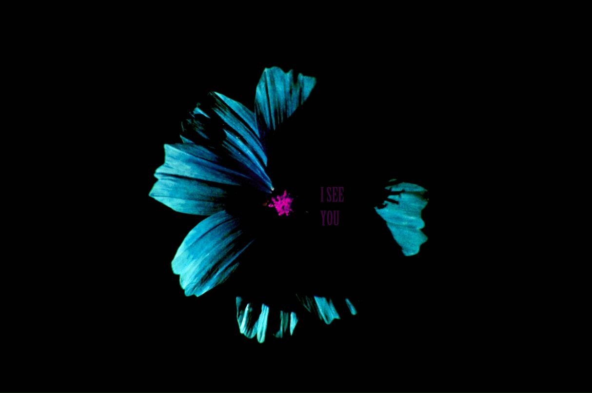 Рустем Гайсин фотография #38