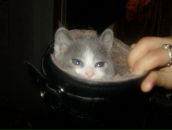 Ірчик Шкірчик фотография #39 (источник - https://vk.com/id20499234)