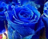 Марія-марта Босаневич мальгівська фотография #31 (источник - https://vk.com/id89238187)