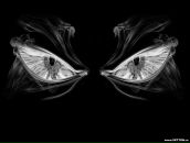 Фотография Николаева Александра