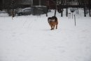 Маша Федько фотография #1