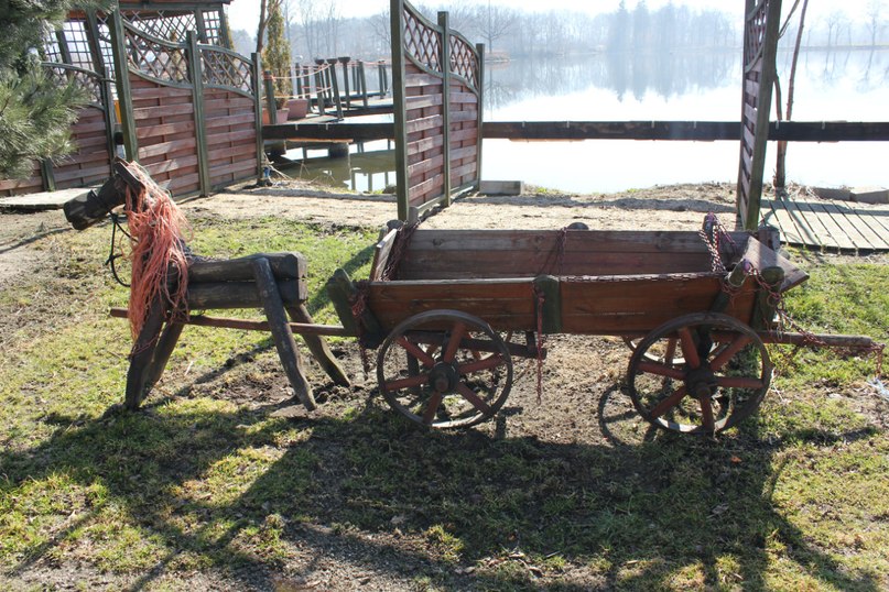 Денис Наводный фотография #15