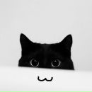 Фотография Соловьева Анатолия