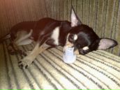 Фотография Зайцевой Марии