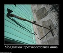 Вітя Сулич фотография #1