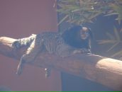 Дмитрий Мельников фотография #1