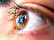 Фотография Валеева Искандера