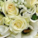 Лілія Левко фотография #42 (источник - https://vk.com/id144368814)