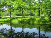 Фотография Звонцовой Любови