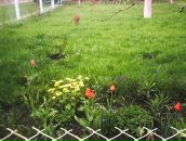 Валерія Тукаш фотография #32 (источник - https://vk.com/id71944780)