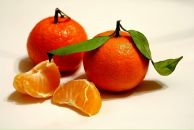 Фотография Новосёловой Марии