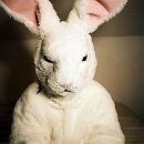 Фотография Зотова Германа