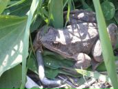 Фотография Фроловой Кати