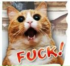 Фотография Мятного Seva