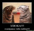 Віталій Шуліка фотография #29 (источник - https://vk.com/id327813864)