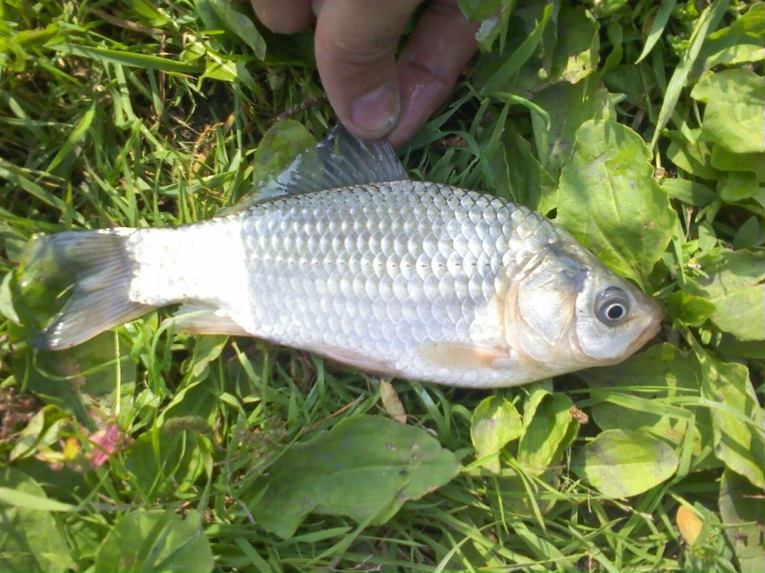 Антон Симаков фотография #31