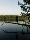Фотография Моисеева Александра