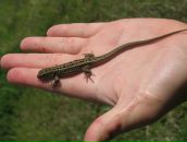 Дмитрий Савосин фотография #41 (источник - https://vk.com/id1353448)