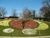 Анна Баранова фотография #3 (источник - https://vk.com/id376790)