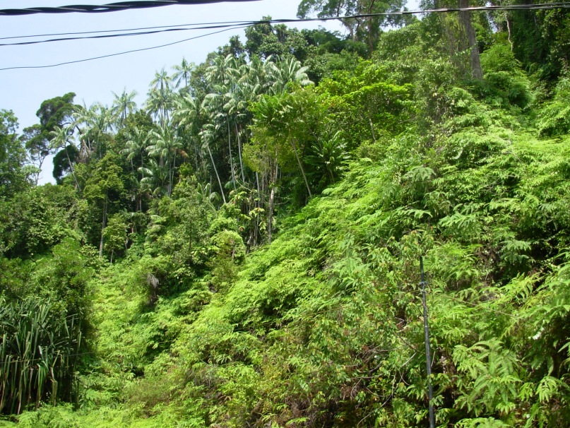 Валерий Иванов фотография #19